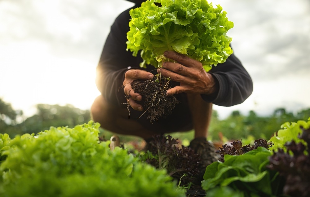 Proveedores locales: el impacto positivo de trabajar con pequeños productores